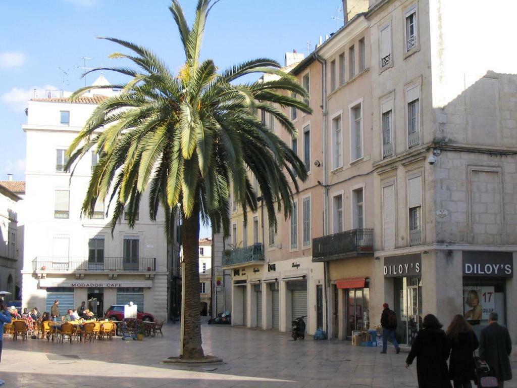 Le Logis De L'Etoile Apartment Nimes Bagian luar foto